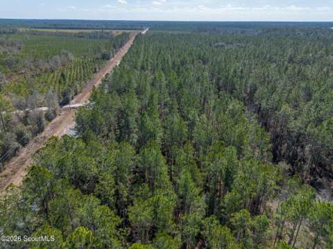 Tract 2 - 12321 Highway 185, Saint George GA - photo 10 of 30