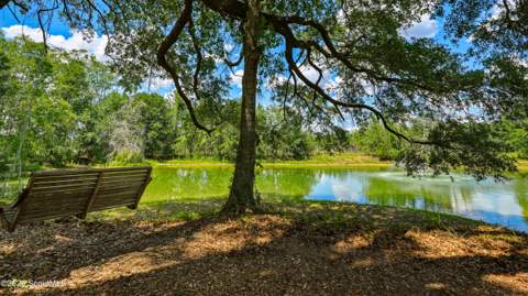 0 Ritch Church Road, Screven GA - photo 14 of 43