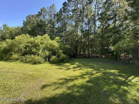 293 Cutter Gap, Ludowici GA - photo 21 of 24