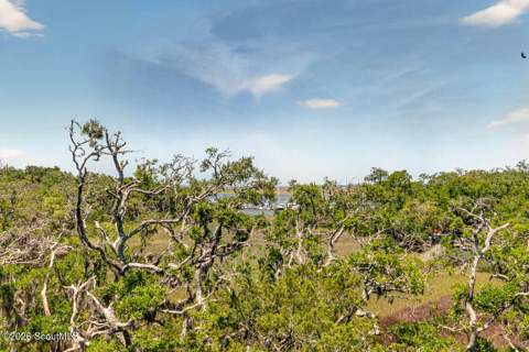36 Harbor Road, Jekyll Island GA - photo 23 of 50
