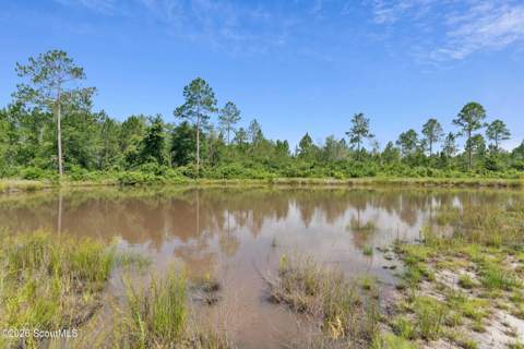 6064 U.s. 301, Jesup GA - photo 13 of 37