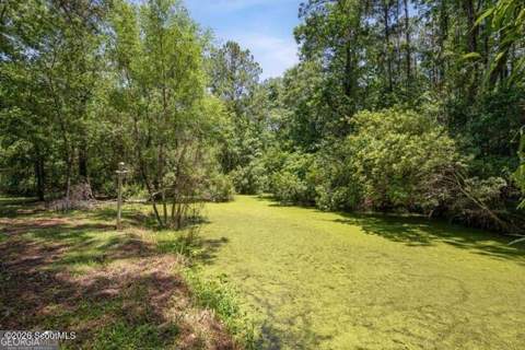389 Magnolia Drive, Waverly GA - photo 7 of 47