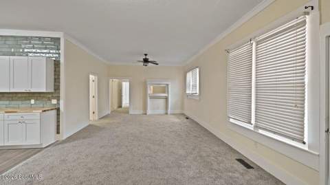 391 E Orange Street, Jesup GA - photo 7 of 30