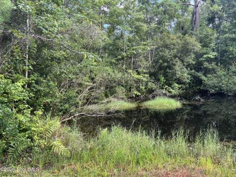 114 Ritch Drive, Brunswick GA - photo 17 of 23