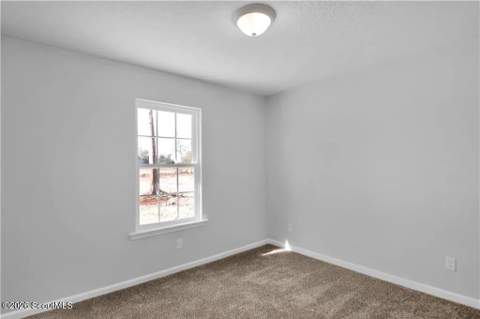 41 Pine Ridge Road, Jesup GA - photo 11 of 16