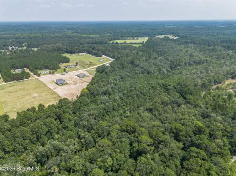 523 S T Morris Road, Ludowici GA - photo 6 of 59