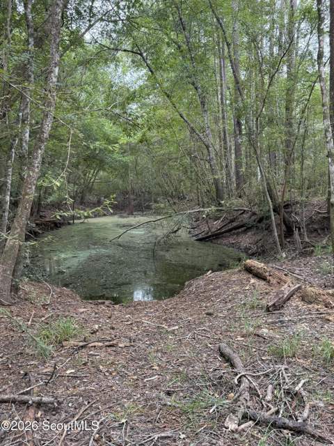 319 Shady Lane, Waynesville GA - photo 12 of 15