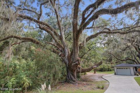 651 Old Plantation Road, Jekyll Island GA - photo 10 of 67