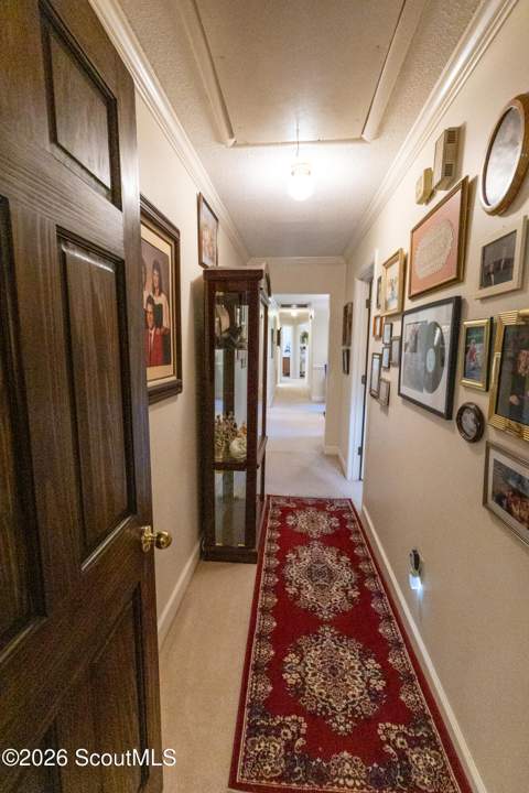 2748 County Line Road, Ludowici GA - photo 19 of 70