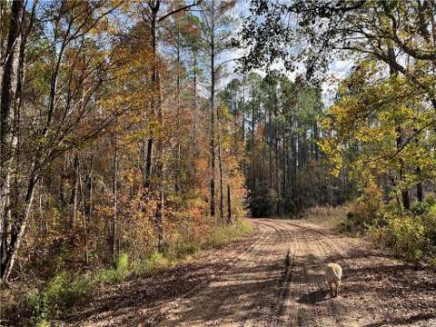 261 Blf Road, White Oak GA - photo 20 of 21