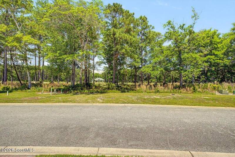 4 bedroom Single Family Residence at 91 Abbey Lane, Sanctuary Cove, Waverly — photo 5