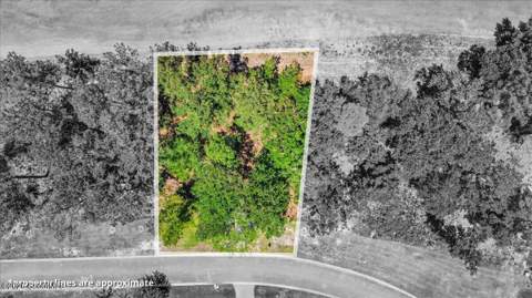 91 Abbey Lane, Waverly GA - photo 8 of 51
