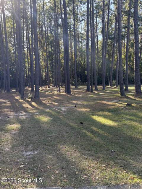 1405 Rosedale Avenue, Waycross GA - photo 23 of 27