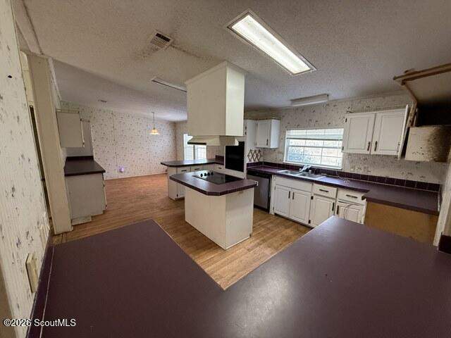 4 bedroom Single Family Residence at 7926 Mt Pleasant Road, Hortense, Hortense — photo 5