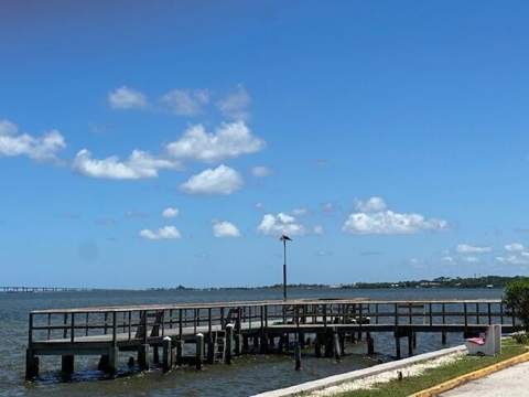 190 E Olmstead Drive #A1, Titusville FL - photo 24 of 42