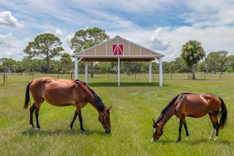 4715 Blossom Ridge Place, Grant FL - photo 13 of 68
