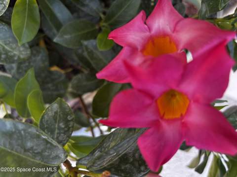 4800 Ocean Beach Boulevard #226, Cocoa Beach FL - photo 17 of 45