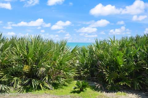 1923 Jimmy Buffett Memorial Highway #C-3, Indian Harbour Beach FL - photo 24 of 54