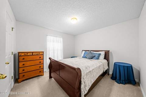 3254 Wasilla Avenue, Palm Bay FL - photo 22 of 39