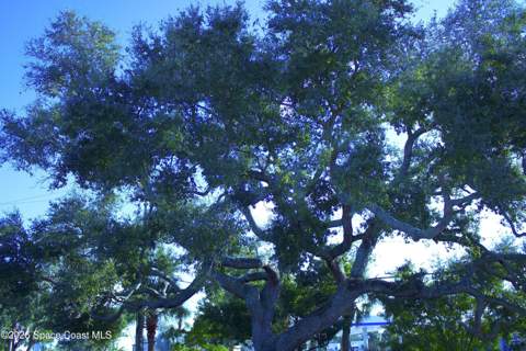 178 Long Point Road #1, Cape Canaveral FL - photo 24 of 25
