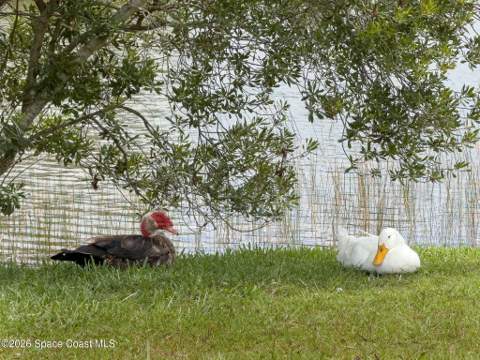 4500 Hunters Run Circle, Grant FL - photo 7 of 89