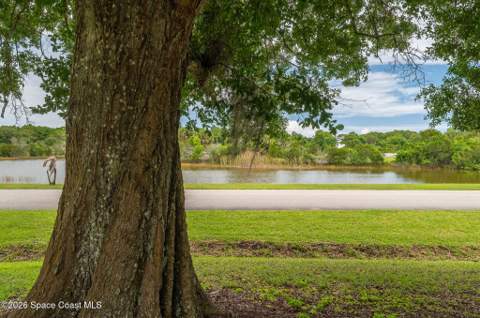 4500 Hunters Run Circle, Grant FL - photo 6 of 89