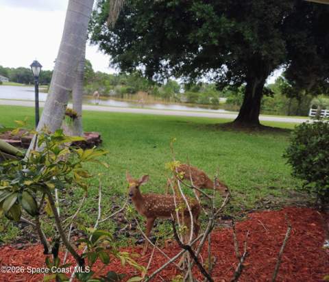 4500 Hunters Run Circle, Grant FL - photo 10 of 89