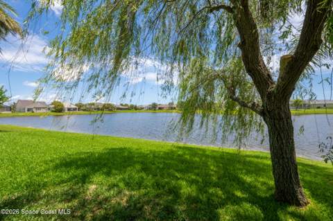 6485 Trieda Drive, Melbourne FL - photo 8 of 86