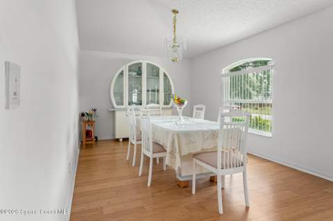 1282 Danforth Street, Palm Bay FL - photo 8 of 29