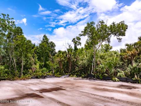 3580 Weeping Willow Street, Melbourne FL - photo 7 of 28