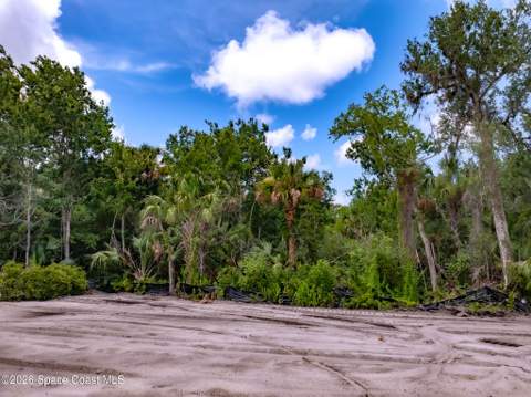 3580 Weeping Willow Street, Melbourne FL - photo 17 of 28