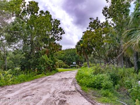 3580 Weeping Willow Street, Melbourne FL - photo 11 of 28