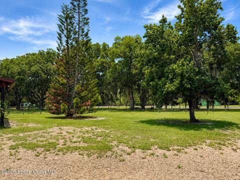 545 Chase Hammock Road, Merritt Island FL - photo 7 of 17