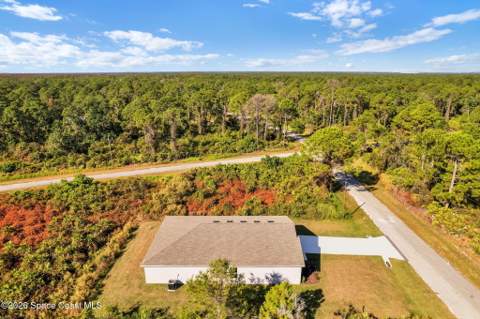 810 Darlington Avenue, Palm Bay FL - photo 12 of 23