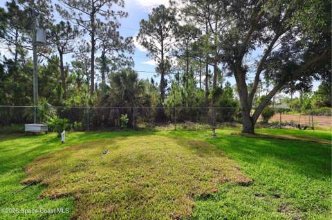 3027 Langmaid Avenue, Palm Bay FL - photo 23 of 26