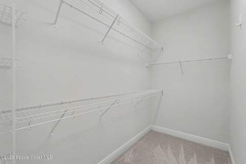 3119 Ribbon Grass Drive, Melbourne FL - photo 16 of 53