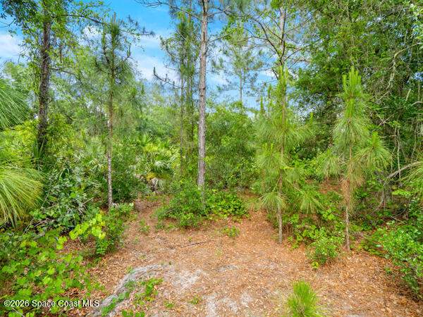 4 bedroom Single Family Residence at 1261 Rainbow Road, Palm Bay, Palm Bay — photo 3