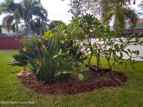 410 Oriole Lane, Indialantic FL - photo 8 of 104