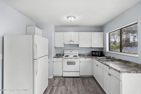 268 Melba Avenue, Palm Bay FL - photo 11 of 29