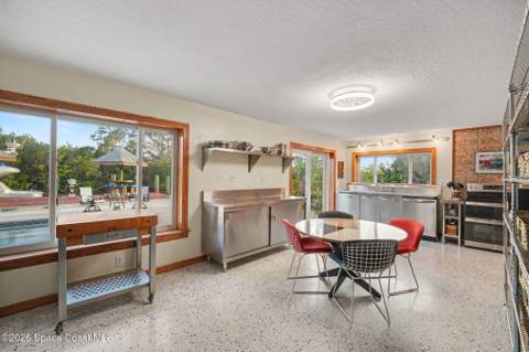 459 Angelo Lane, Cocoa Beach FL - photo 11 of 48