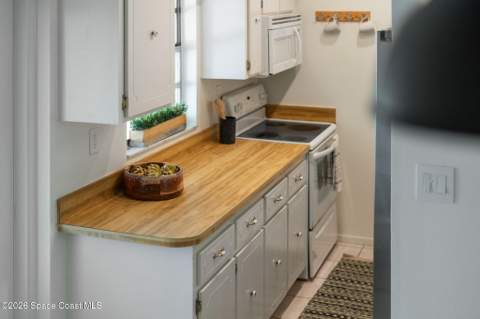 419 Earl Avenue, Melbourne FL - photo 6 of 42