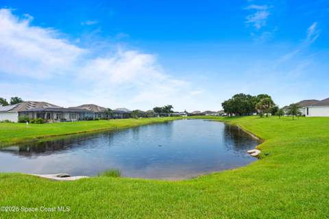 719 Lyndall Lane, Palm Bay FL - photo 6 of 46