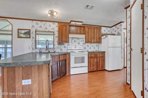 251 Blossom Lane, Palm Bay FL - photo 10 of 35