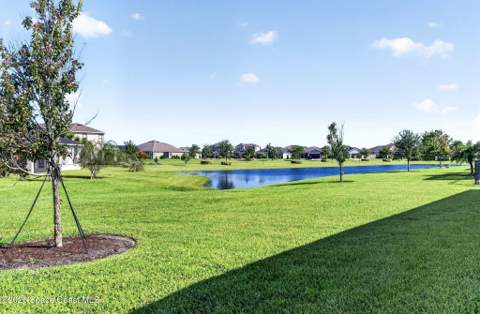 3008 Ribbon Grass Drive, Melbourne FL - photo 6 of 41