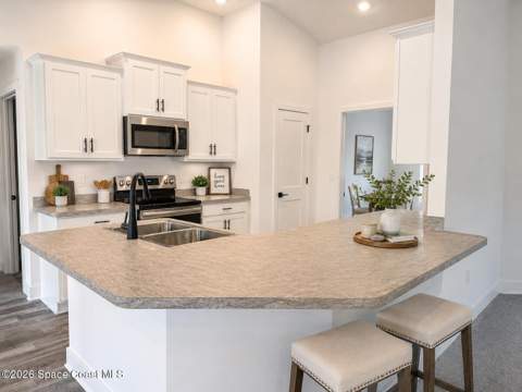768 Haryestor Avenue, Palm Bay FL - photo 7 of 16