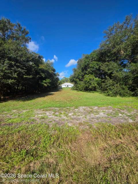 4365 Lee Street, Cocoa FL - photo 20 of 21