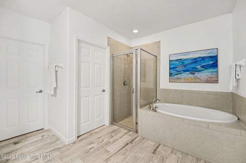 550 Dinner Street, Palm Bay FL - photo 17 of 31