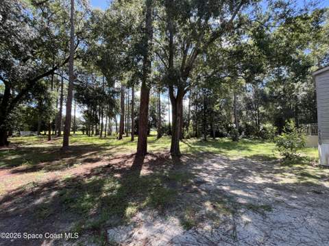 4125 Luciano Avenue, Cocoa FL - photo 6 of 44