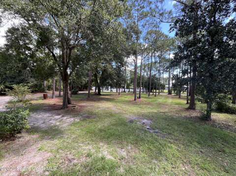 4125 Luciano Avenue, Cocoa FL - photo 13 of 44