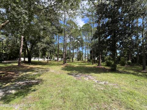 4125 Luciano Avenue, Cocoa FL - photo 15 of 44